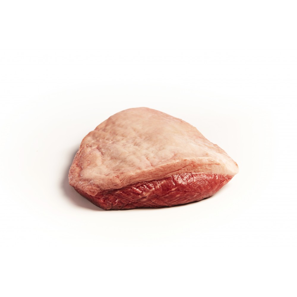 OKSE CULOTTE EU. KØL